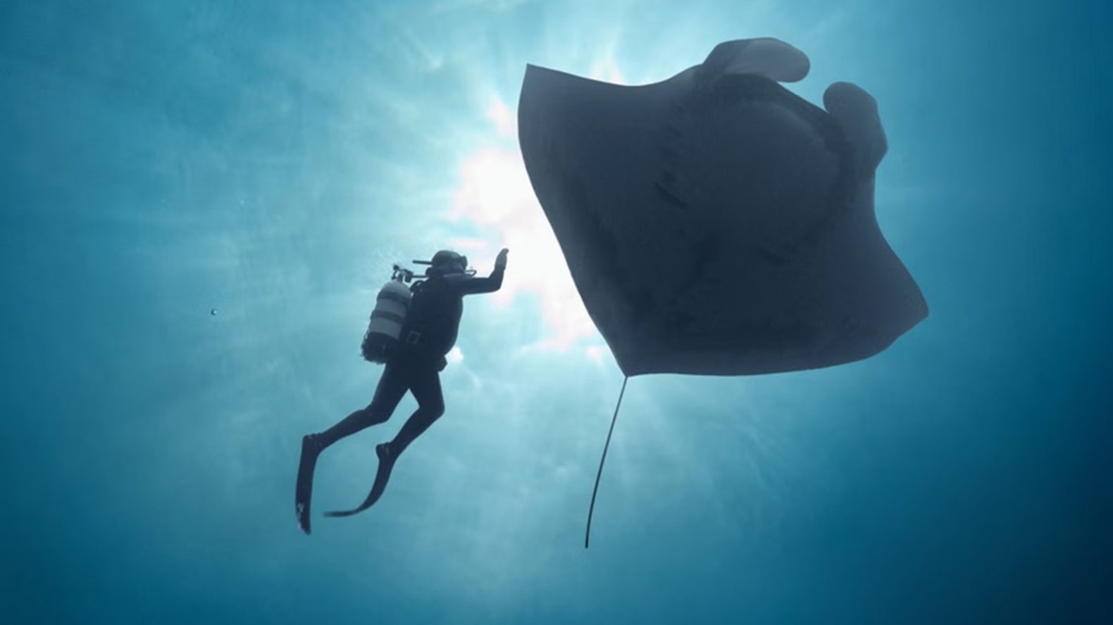 Film still for LDNDOCS 2025: THE LAST DIVE
