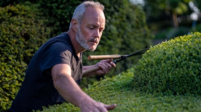 Film still for DocHouse: The Gardener, The Buddhist and the Spy