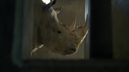 Film still for UKJFF: Documentary Gala: Shalom