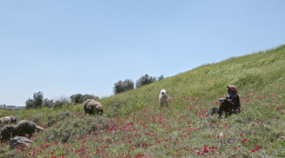 Film still for DocHouse: LPFF 2026: Concrete Land